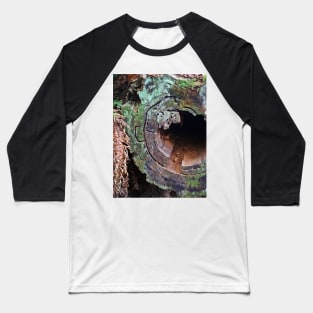 Deception Pass Hollow Log Baseball T-Shirt